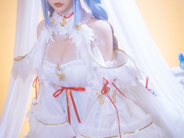 D 星之迟迟 2025年08月计划B 碧蓝航线 雅努斯 [35P1V-255M]